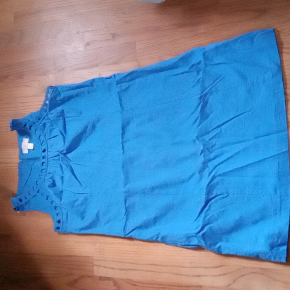 Ann Taylor LOFT dress